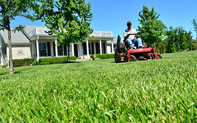 Lawn and Garden